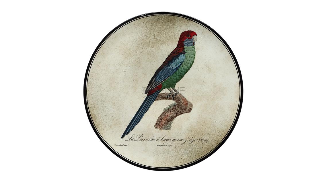 PIATTO DA MURO12盘子